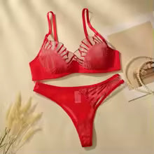Elegant Mesh Lingerie Set